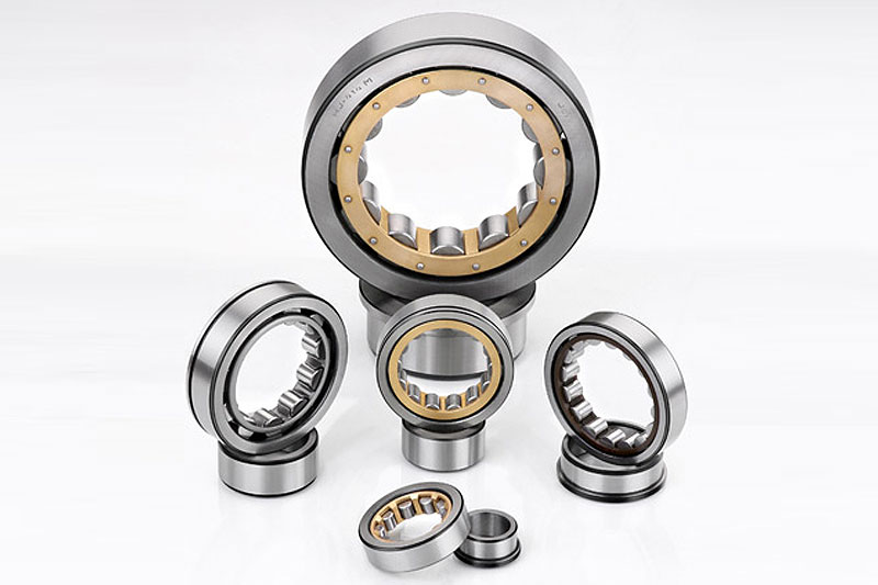 SKF Vendor